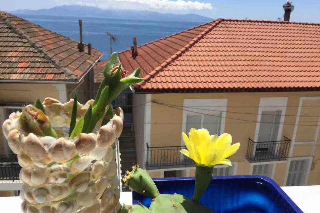 # Perfection Sea View Apartments Cavala Exterior foto